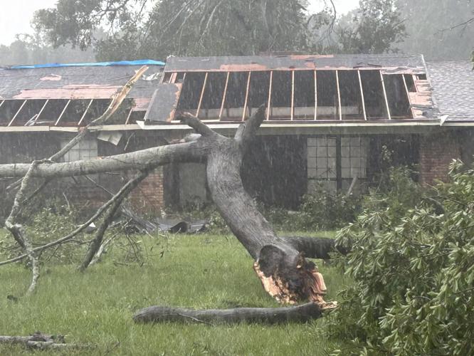 tree down