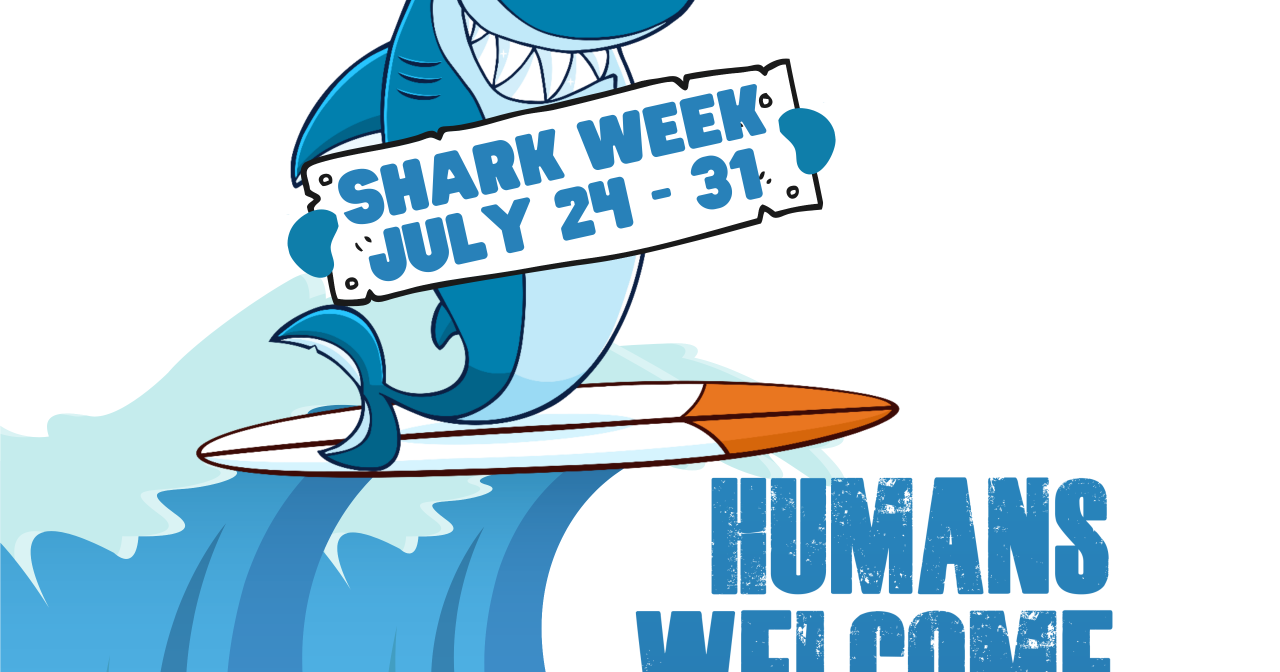 Shreveport Aquarium gears up for shark week and camp aqua next week - Vimarsana News