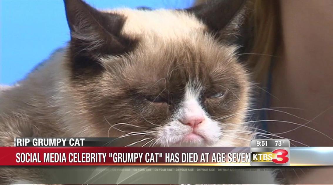 Grumpy Cat Has Died At The Age Of 7 Ktbs Com