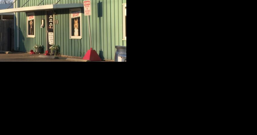 Bossier City dog training owners sue Bossier City officials, allege abuse of power - Vimarsana News