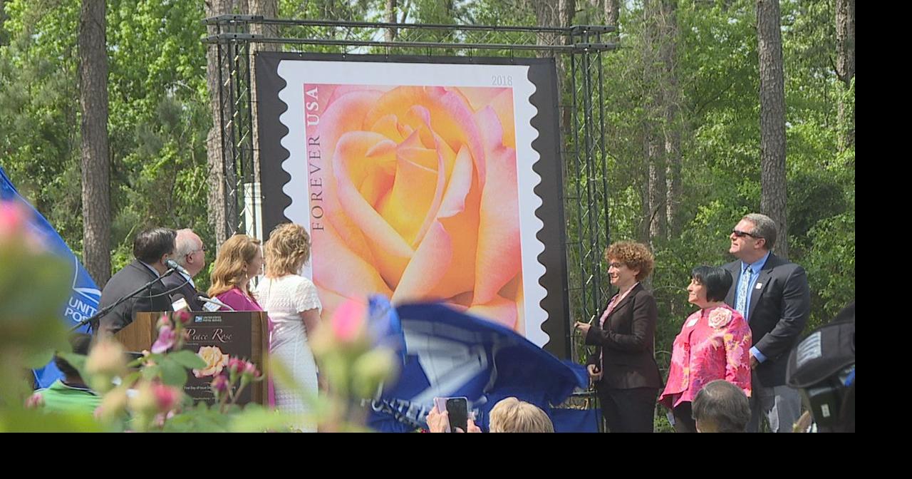 Peace Rose Stamp is rooted in war history ArkLaTex InDepth