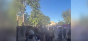 EBRSO Reports Using Pepper Balls to Disperse Crowd After LSU Game