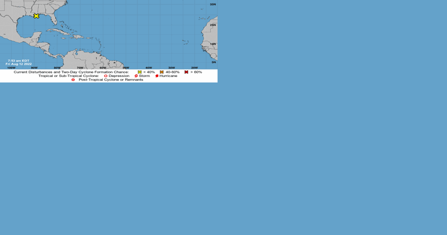 Tropical disturbance off Louisiana's coast expected to head to Texas, hurricane forecasters say - Vimarsana News