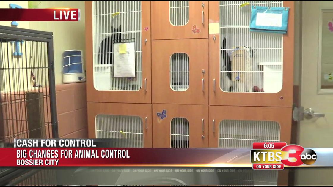 Big Changes For Bossier Animal Control Ktbs Com