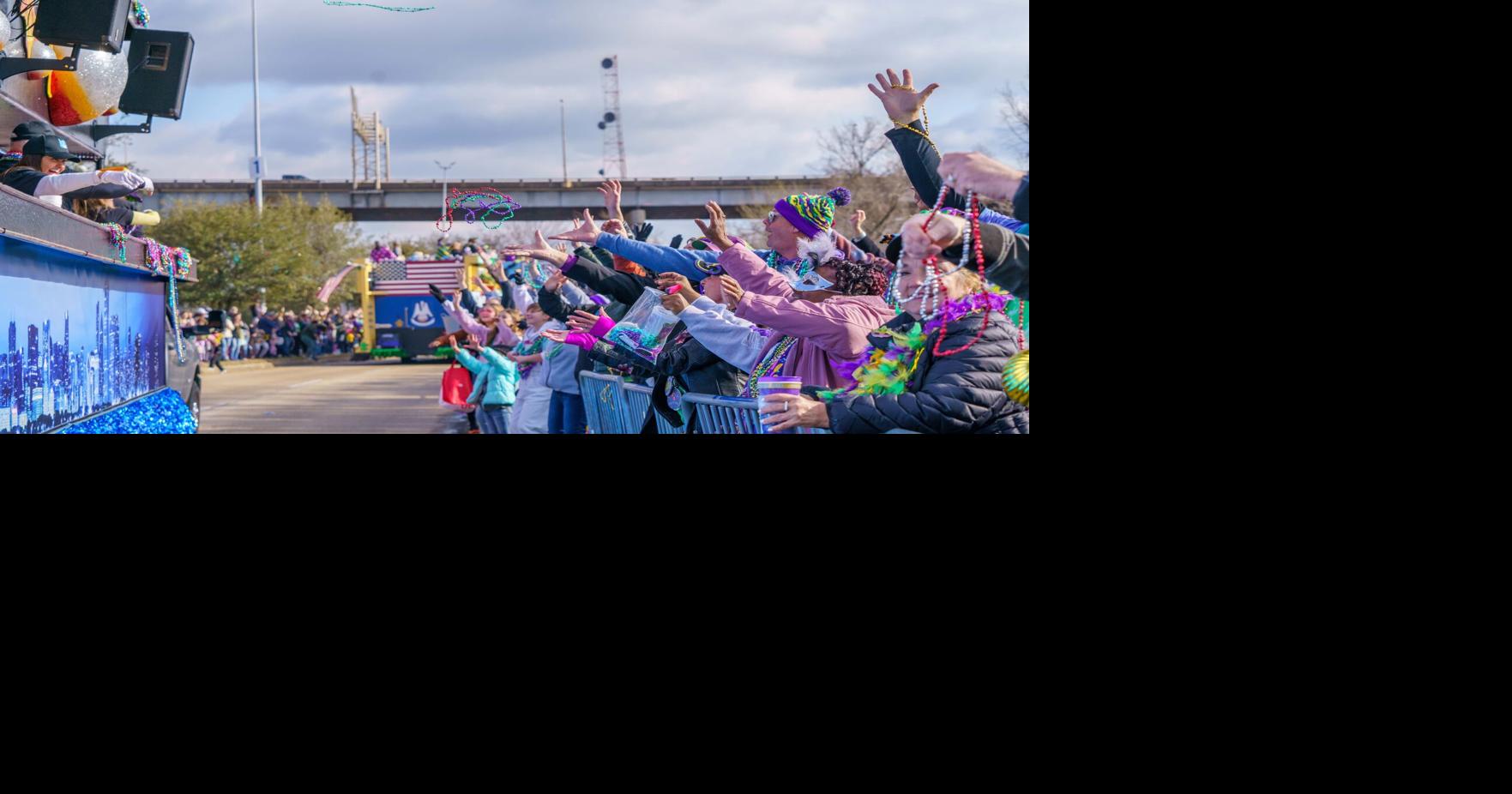 mardi gras sydney attendance