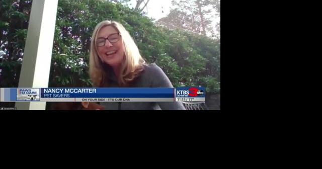 Paws To Care: Pet Savers - Vimarsana News