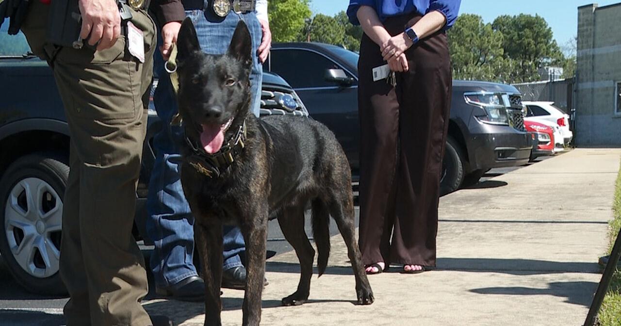 Miller County Sheriff's Office welcomes K9 Officer Jett - Vimarsana News