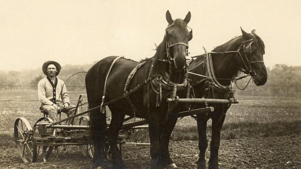 Old Farmer's Almanac Once as essential as horse and plow News