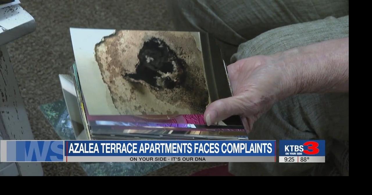 Minden Tenant Endures Broken AC, Stove, and Mold—Claims Eviction Threats for Complaints