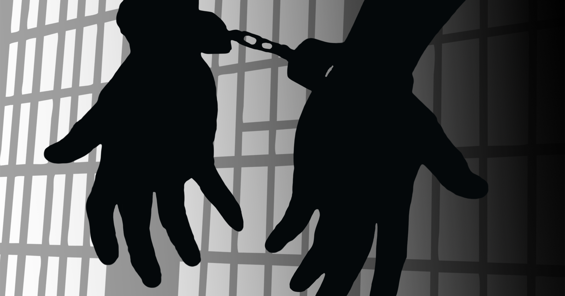 SPD arrests 11 non-compliant sex offenders - Vimarsana News