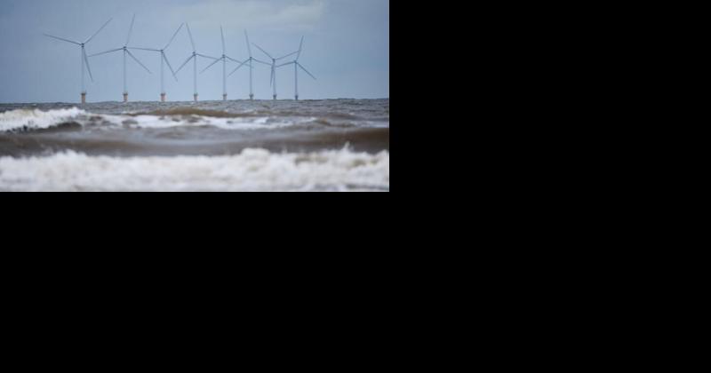 Wind companies losing billions, prompting fears a federal bailout could be coming - Vimarsana News