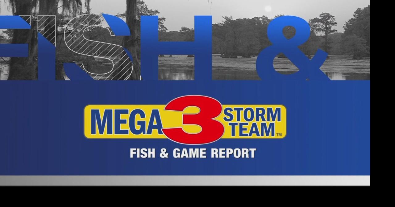 Fish And Game Report