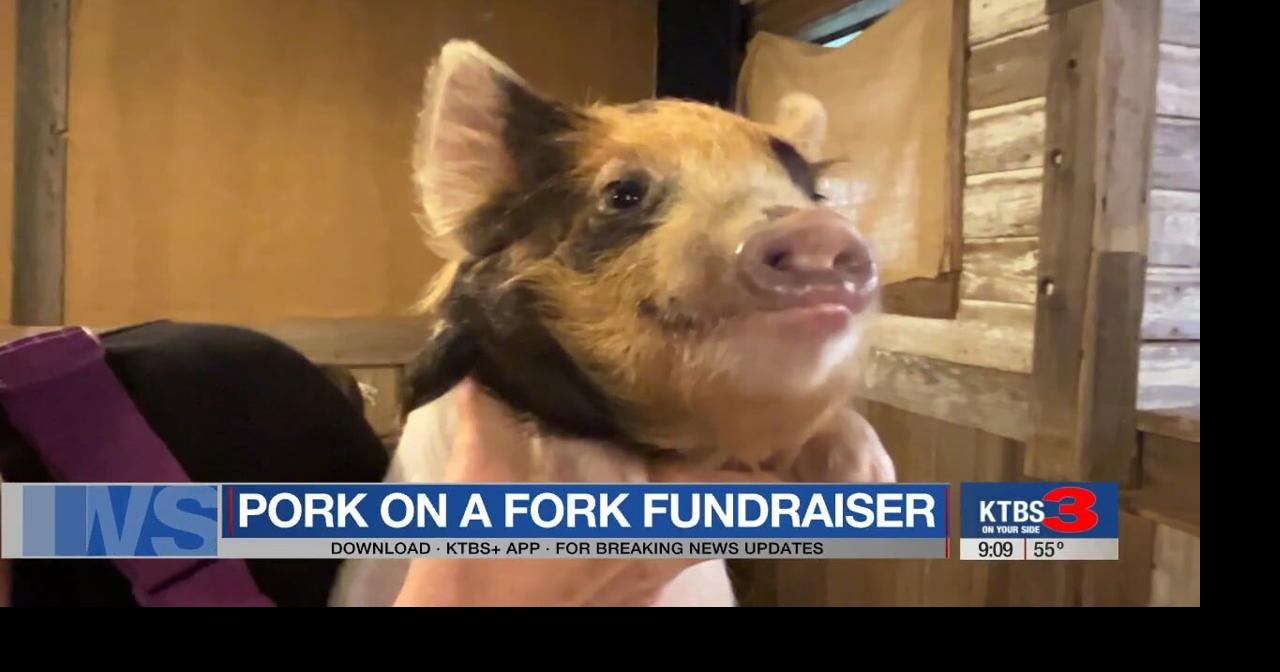 Pork on a Fork benefits Runnin’ WJ Ranch, Texarkana Resources