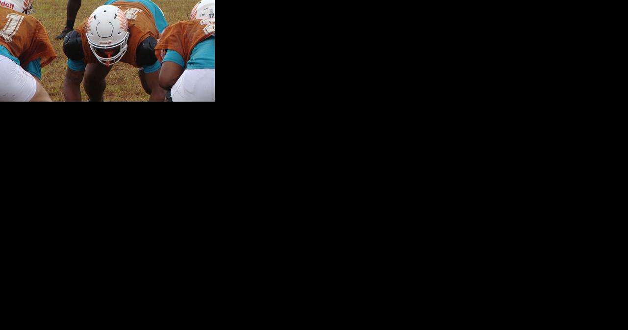 Countdown to FFF: Northwood - Vimarsana News