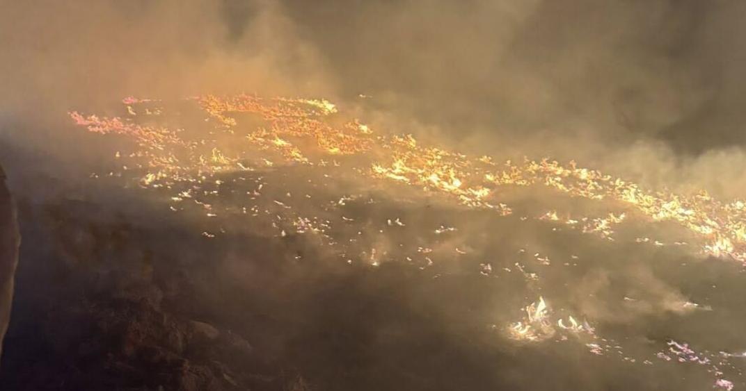 Fire department contains large Texarkana grass fire