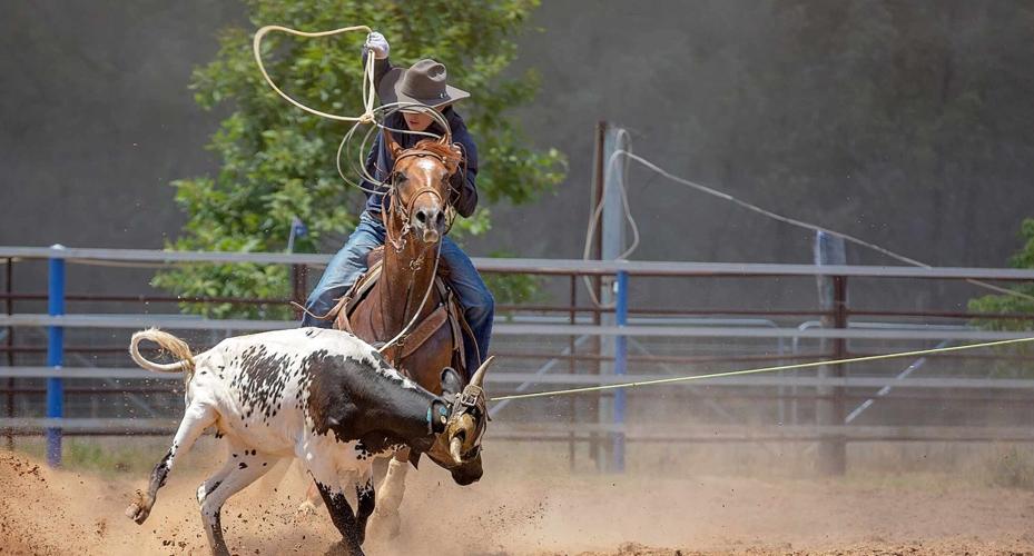 Springhill La Rodeo First Cup with First News: Springhill Rodeo | First Cup with First News ...