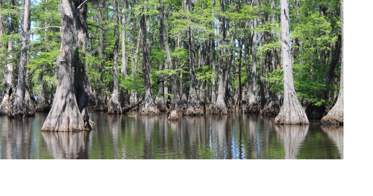 LDWF schedules drawdown of DeSoto Parish lake | News | ktbs.com