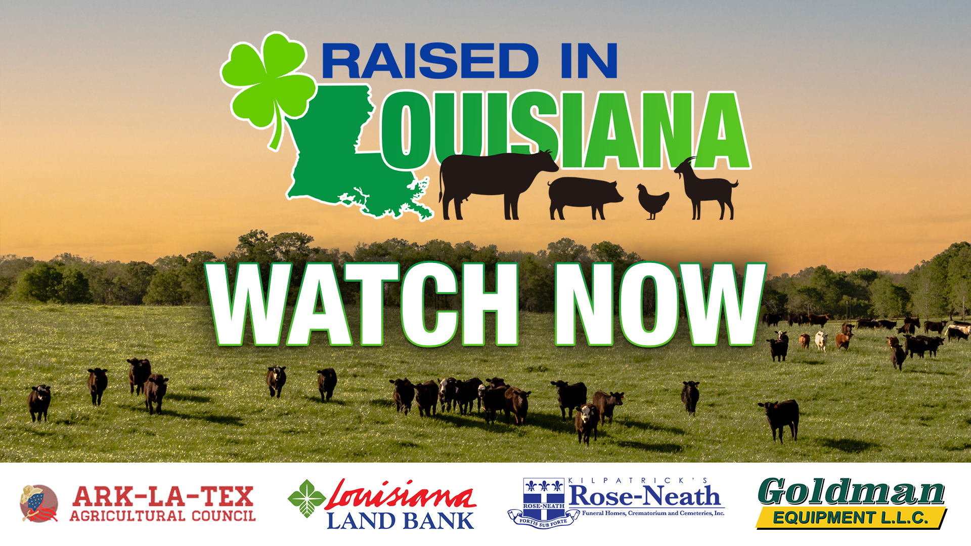 Raised In Louisiana Special Shines Spotlight On Students Competing In ...