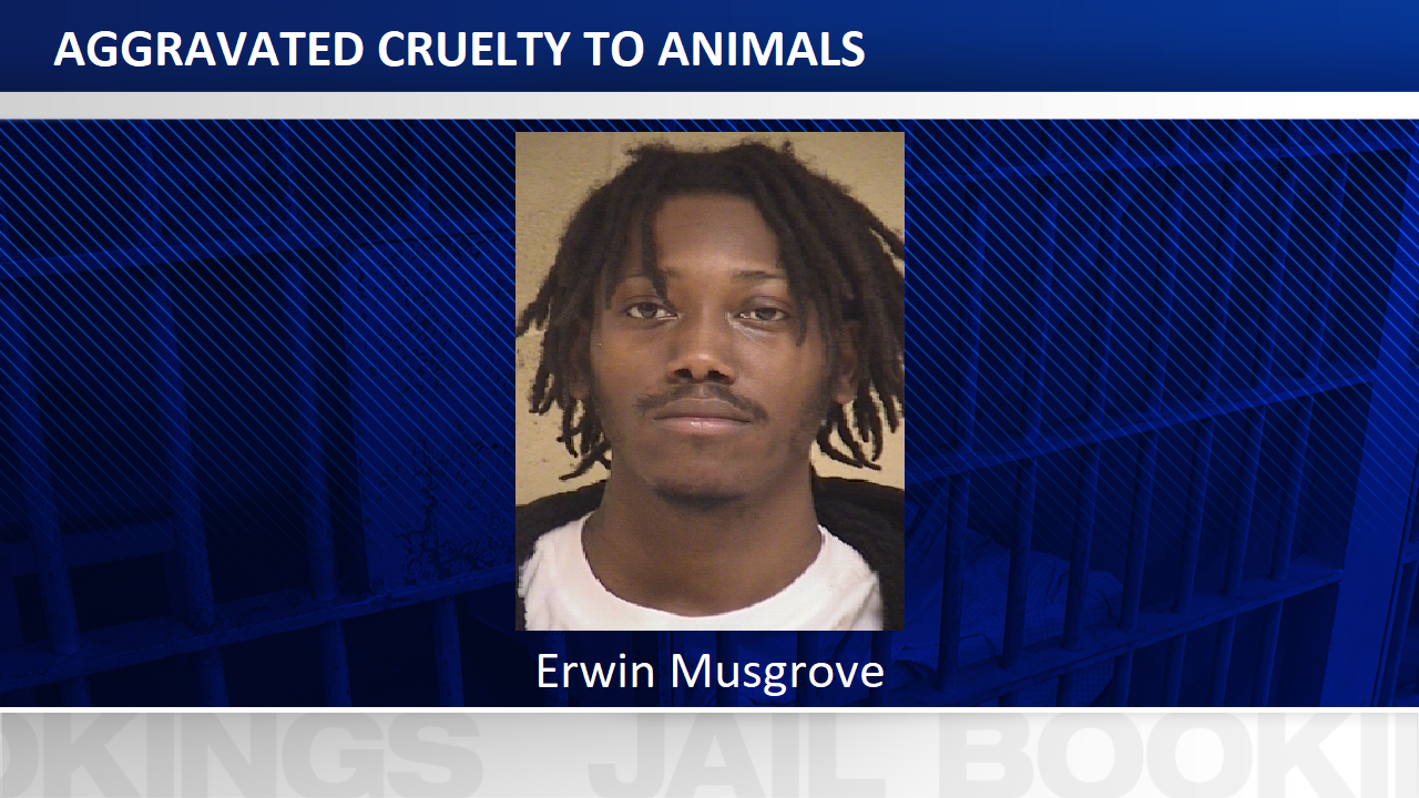 Shreveport Man Arrested For Allegedly Killing Puppies | Crime | Ktbs.com