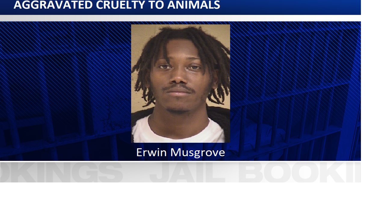 Shreveport man arrested for allegedly killing puppies Crime