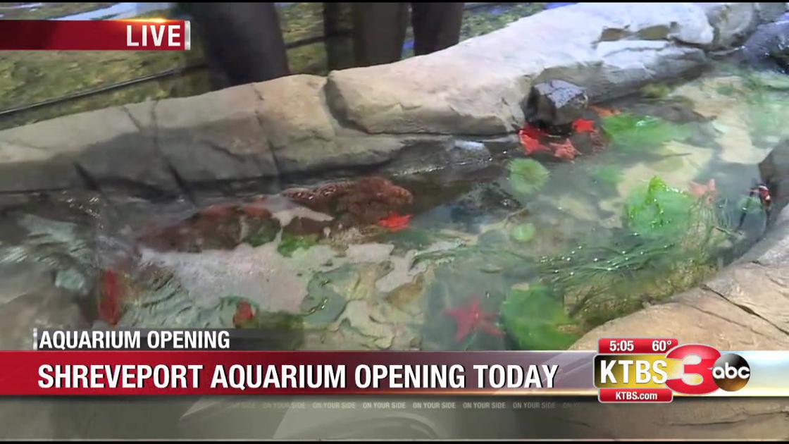 The Shreveport Aquarium opens today