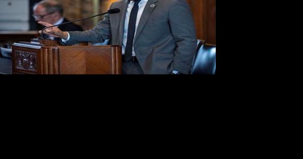 Bills to craft second majority-Black congressional district fail in Senate, House committees - Vimarsana News