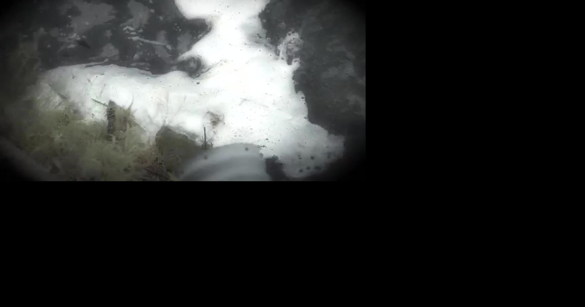 RAW: STUDY: 'FOREVER CHEMICALS' MAY HARM BONE HEALTH