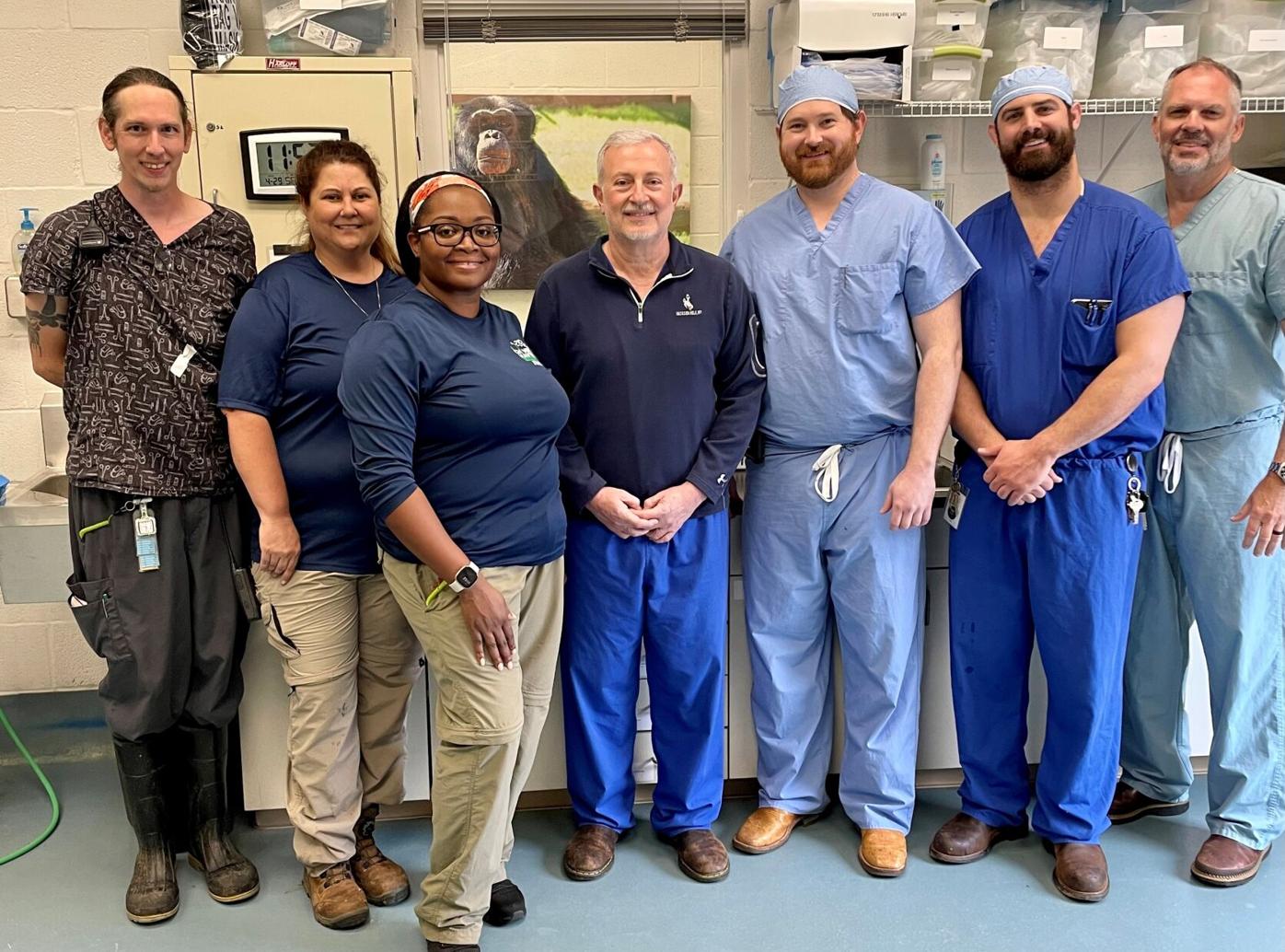 Chimp Haven primate benefits from Willis-Knighton surgeon's expertise |  News | ktbs.com