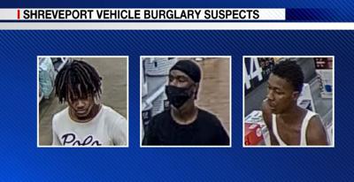Vehicle burglary suspects