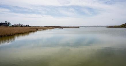 Deadly bacteria is creeping up the Atlantic Coast. How worried should you be?