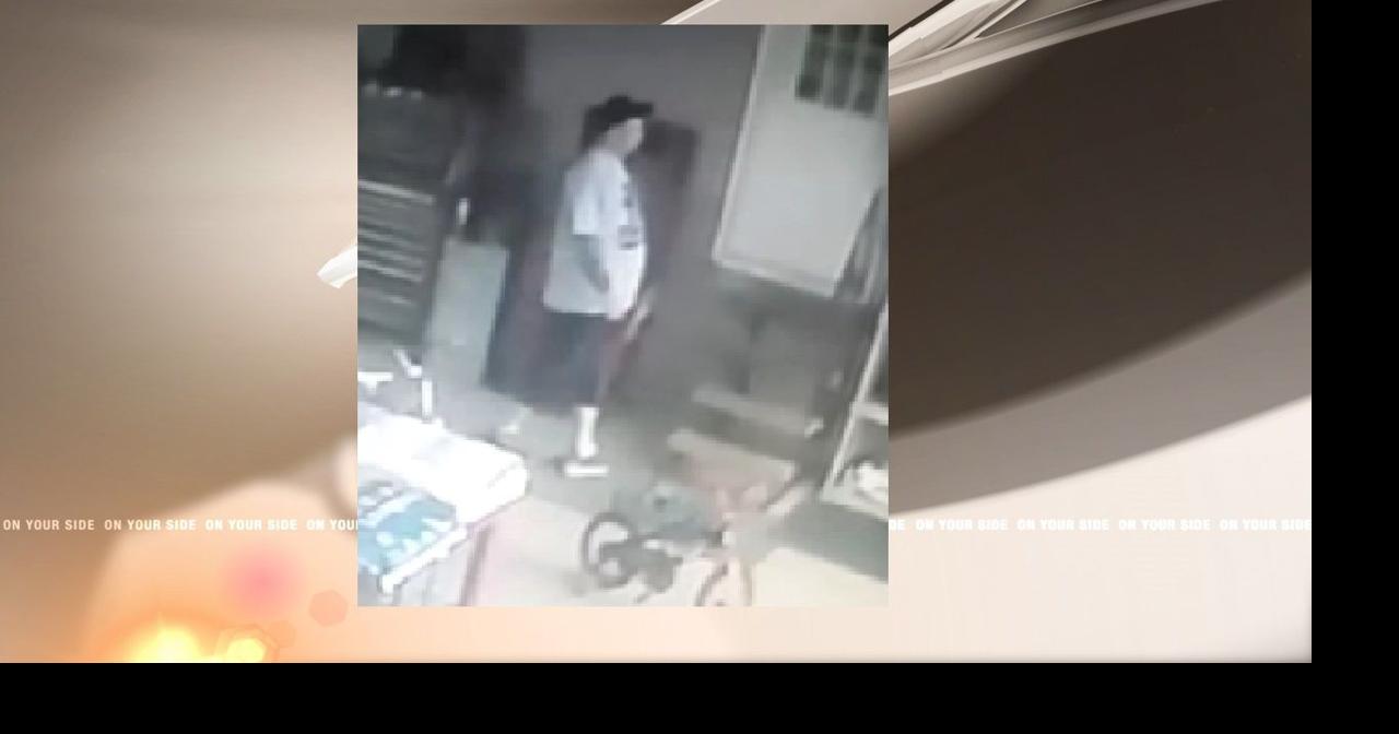 Burglar caught on camera stealing power equipment from man's patio ...