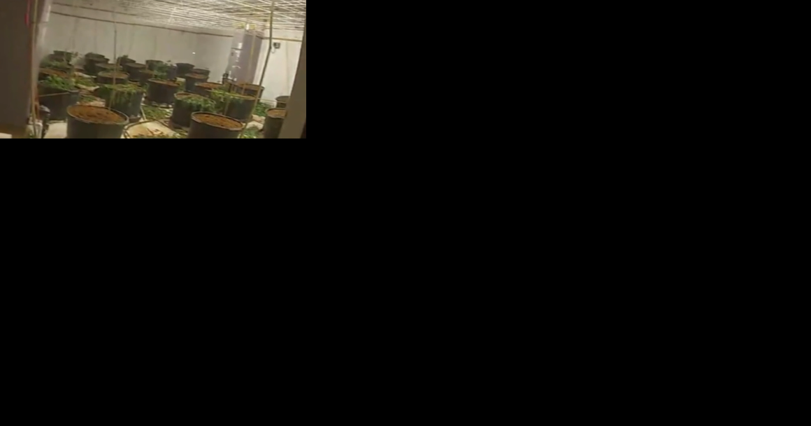 Explosion leads to discovery of 'significant' marijuana grow in Upshur County - Vimarsana News