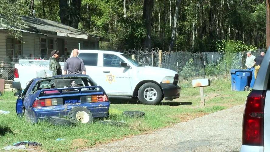 4 arrested in deadly dog attack in Bienville Parish News