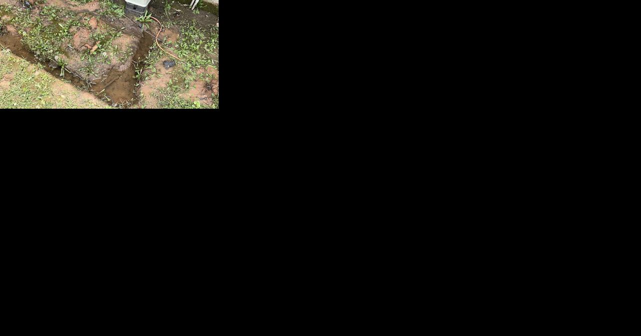 Vandalism at David Raines Community Center - Vimarsana News