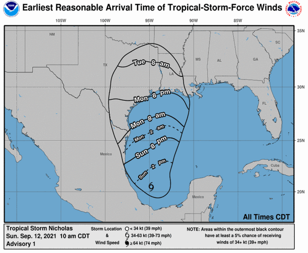 Tropical Storm Nicholas forms in Gulf, heavy rainfall expected for ...