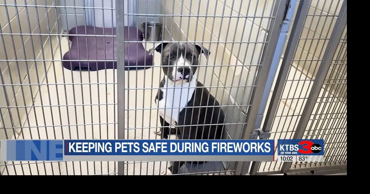 Preparing pets for fireworks