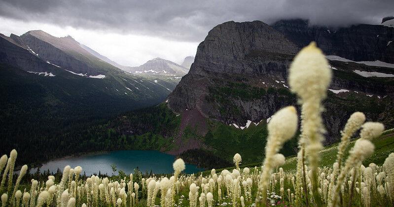 Hiker killed by bear in Glacier National Park identified