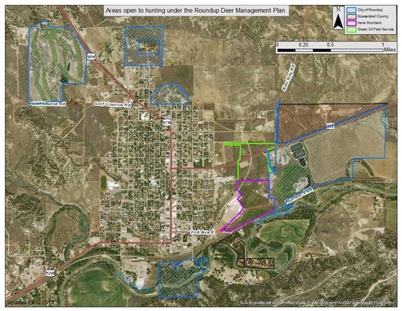 FWP Sets Urban Archery Deer Hunt In Roundup | Billings News | Kulr8.com