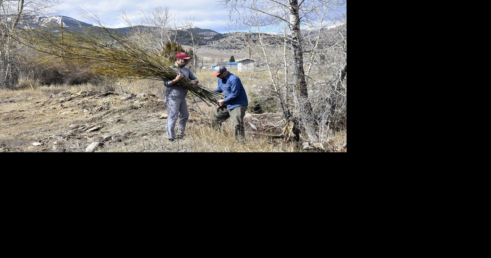 Riffle-and-Pool: Carving a new home for fish habitat in Anaconda's Fifer Gulch Creek