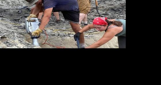 Montana State University student publishes paper on new tyrannosaur species found in Montana - Vimarsana News