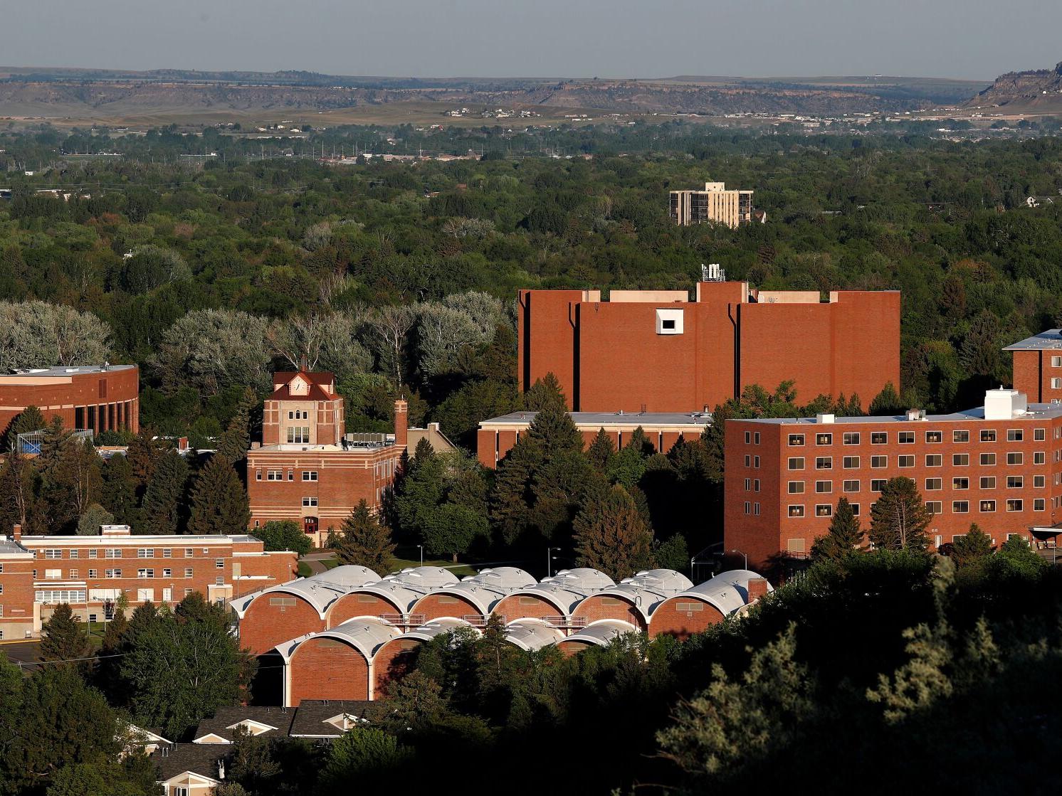 YAM SummerFair 2021 to take place on the green at MSU Billings - Vimarsana News