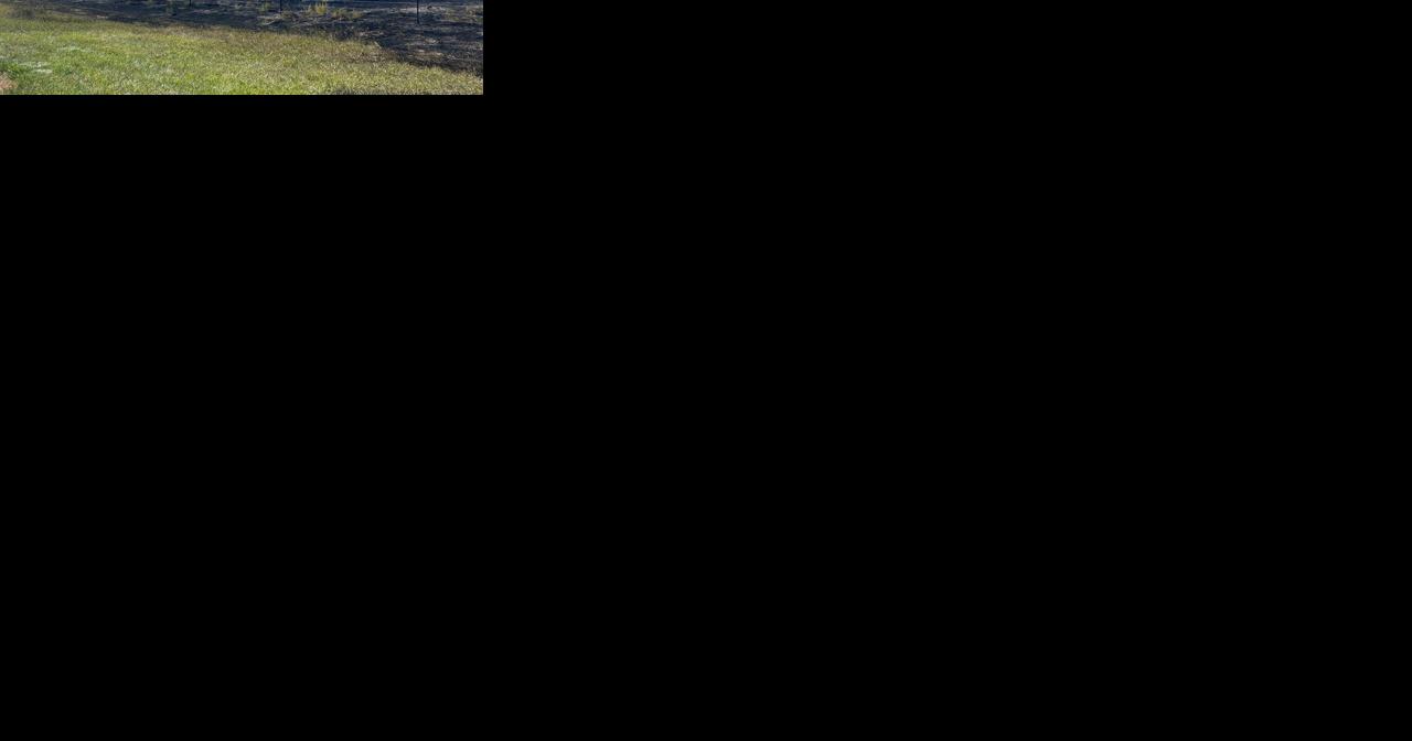 Grass fire off of I-94 in Billings contained - Vimarsana News