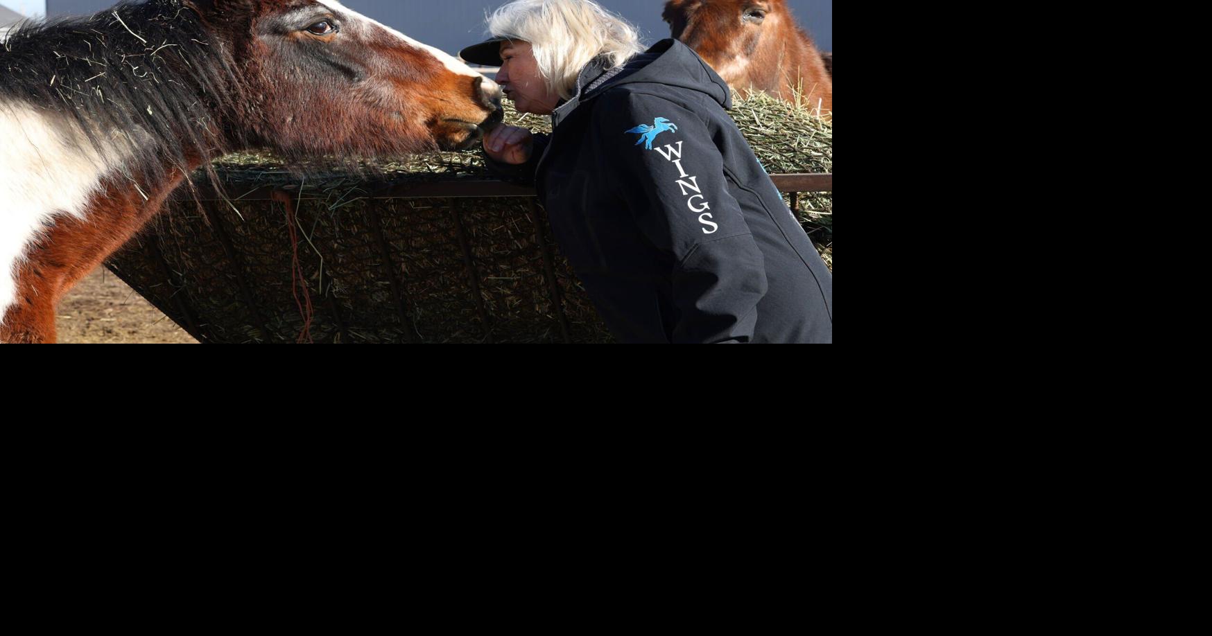 Ranch sale, rent hike displace Bitterroot Valley equine rescue