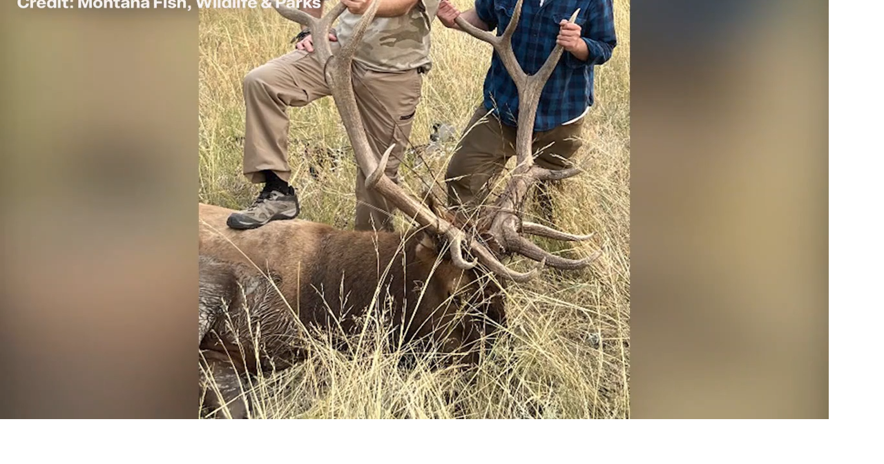 Michigan father and son face felony wildlife charges in Montana