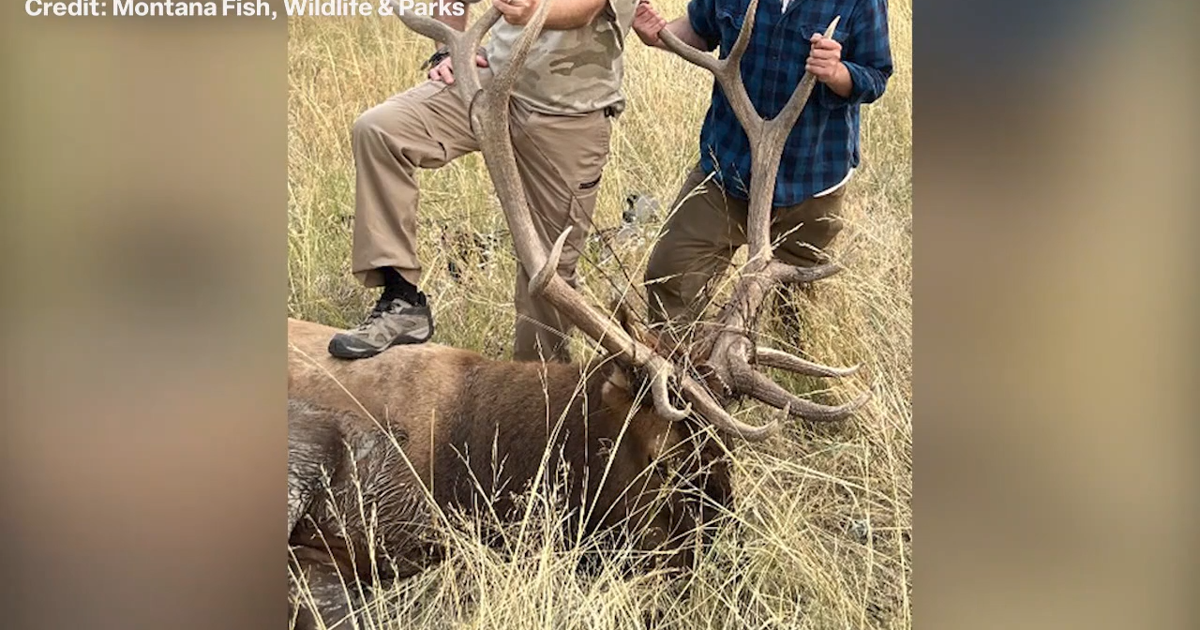 Michigan father and son face felony wildlife charges in Montana