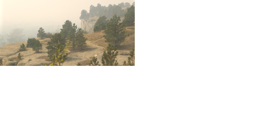 Air Quality impacts in Billings - Vimarsana News