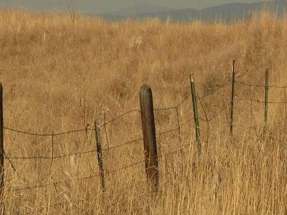 Three-part "Rancher Relief Plan" released Wednesday | Top Story - Vimarsana News