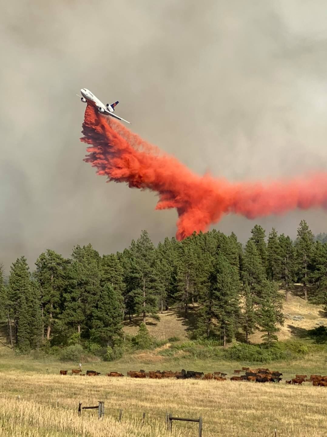 Reduced Fire Behavior Anticipated With The Richard Spring Fire | Top ...