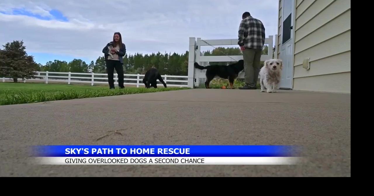 How one dog inspired Sky's Path to Home's mission to rescue others