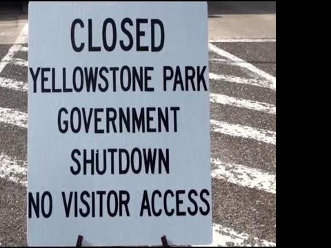 Yellowstone National Park Protest | News | kulr8.com